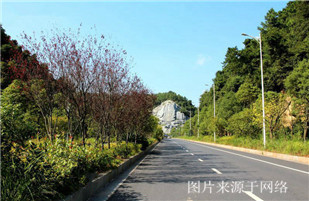 http://7www.4000500521.com//upimg/seot/t20170725135906391.jpg