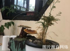 http://7www.4000500521.com//upimg/seot/t20190701173553213.jpg