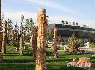 http://7www.4000500521.com//upimg/seot/t20190702164554230.jpg